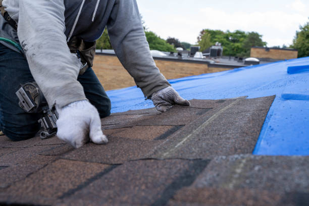 Best Roof Gutter Cleaning  in Quinnipiac University, CT
